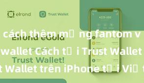 cách thêm mạng fantom vào trust wallet Cách tải Trust Wallet trên iPhone tại Việt Nam